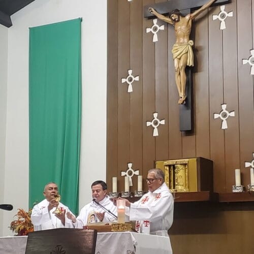 Dial Del Padrino - 2024 -1